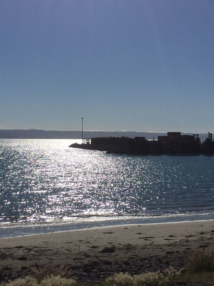 Breakwater Apartments Napier Eksteriør billede